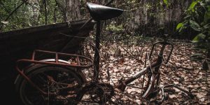 Weeds and Decay